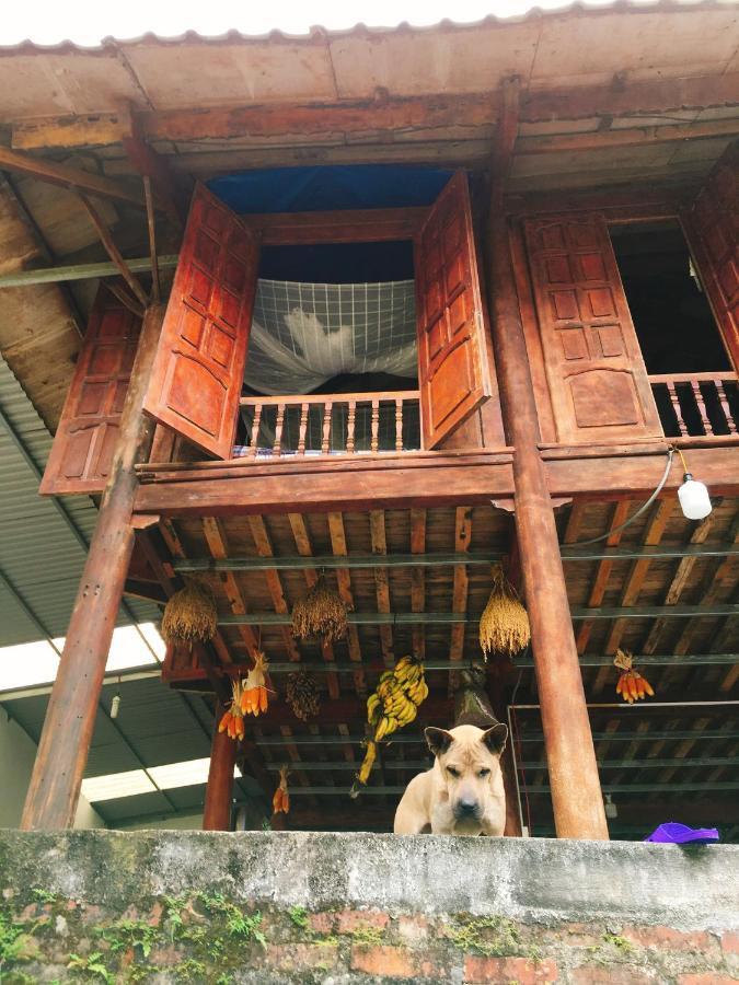 Shan Tea Homestay Ha Giang Luaran gambar